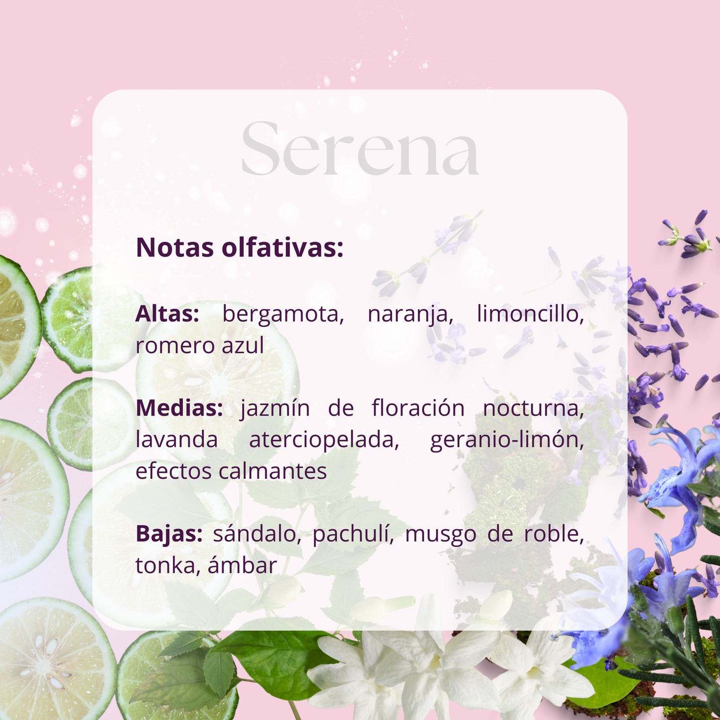 Vela Estoy Orgullosa de Ti - Rosa