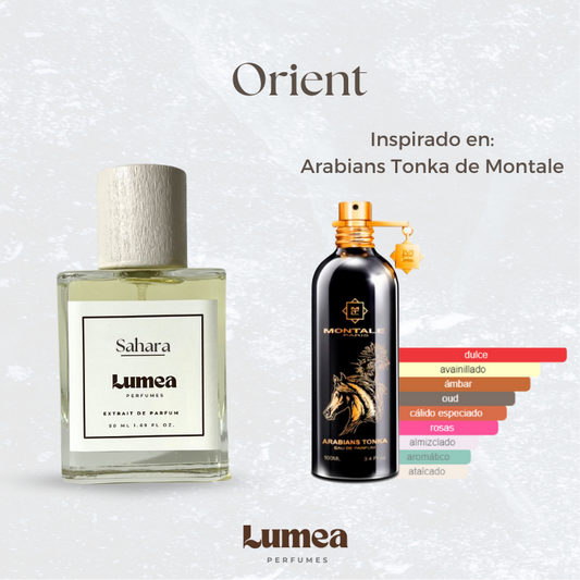 Orient (Inspirado en: Arabians Tonka de Montale)