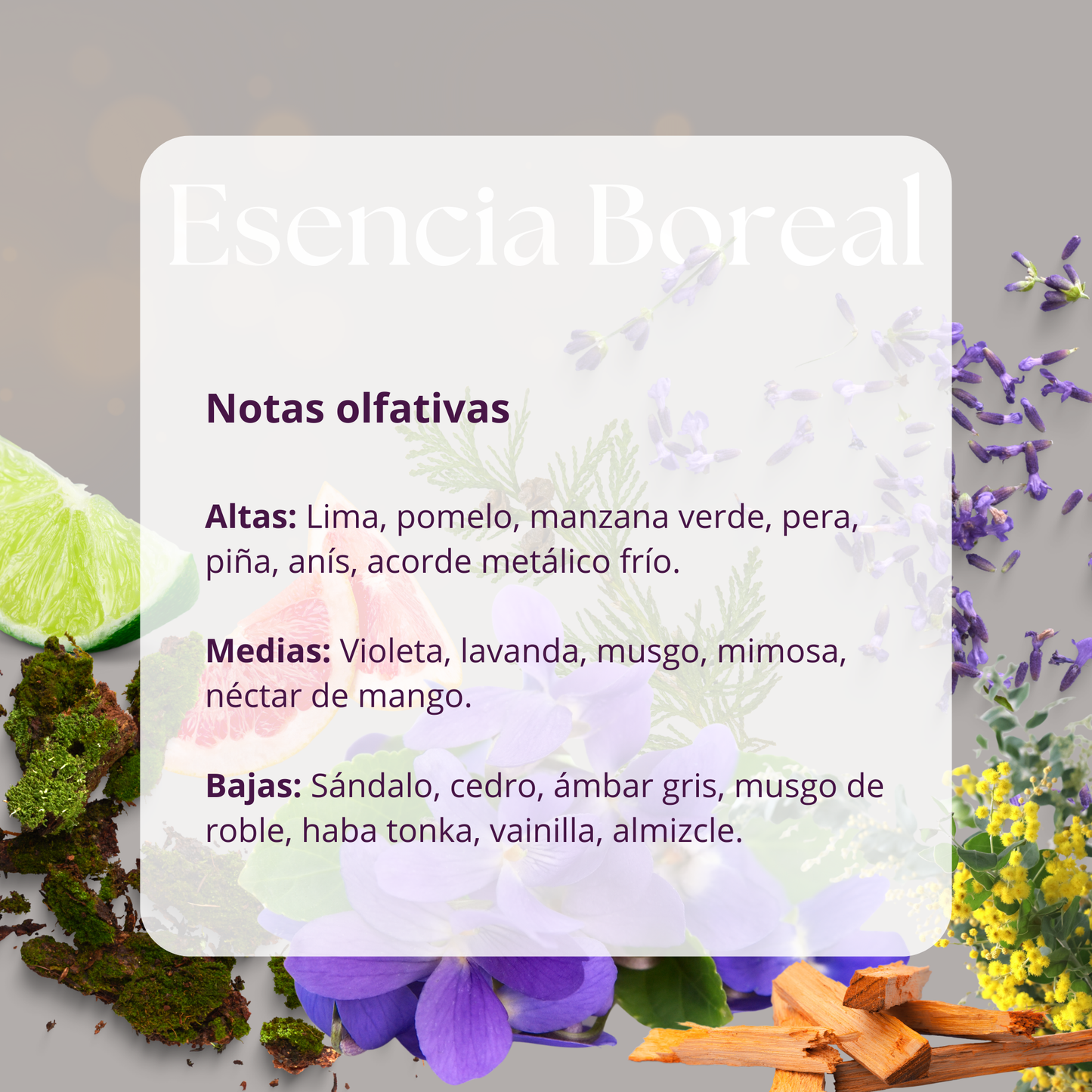 Vela Estoy Orgullosa de Ti - Rosa