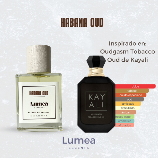 Habana Oud (inspirado en Oudgasm Tobacco Oud de Kayali)