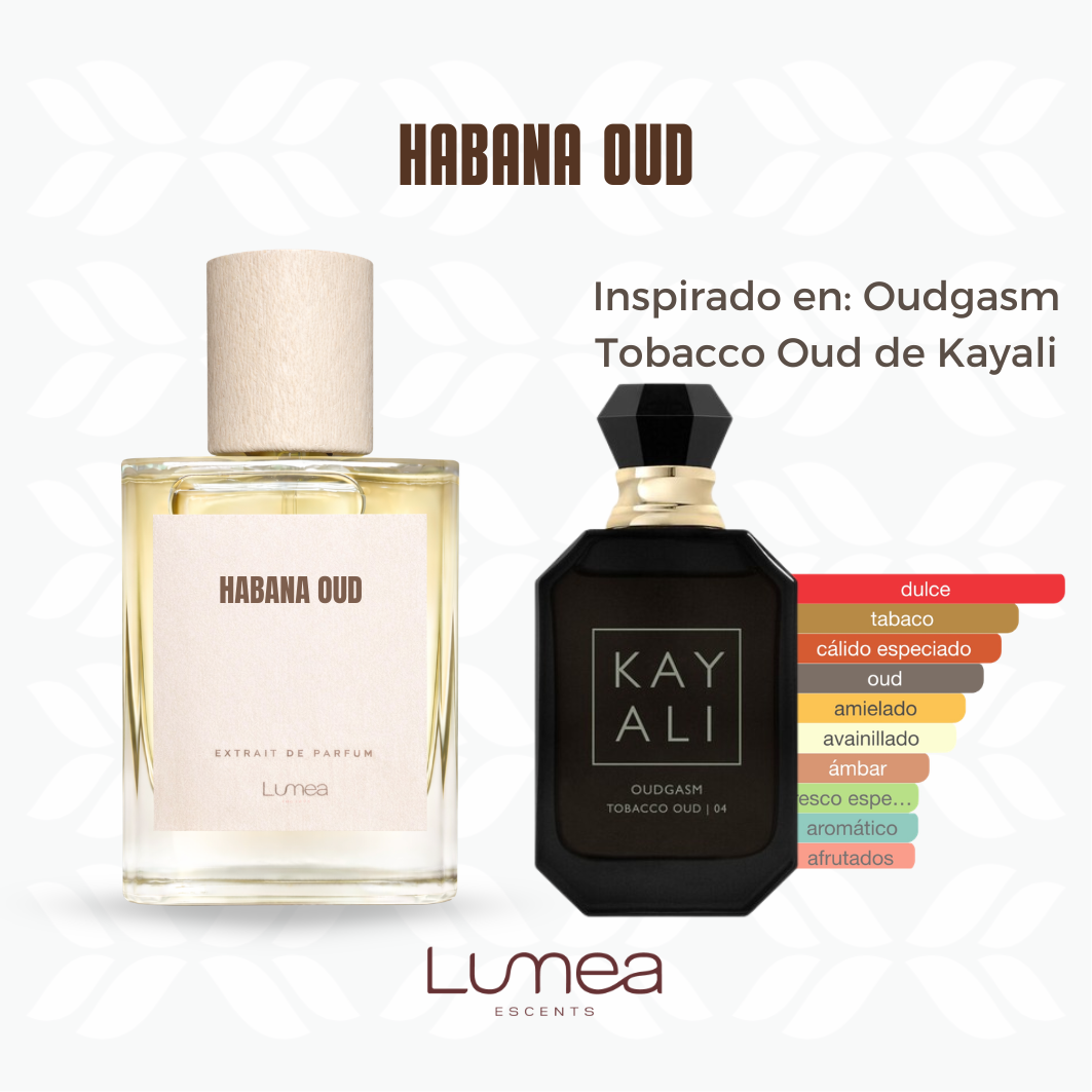 Habana Oud (inspirado en Oudgasm Tobacco Oud de Kayali)