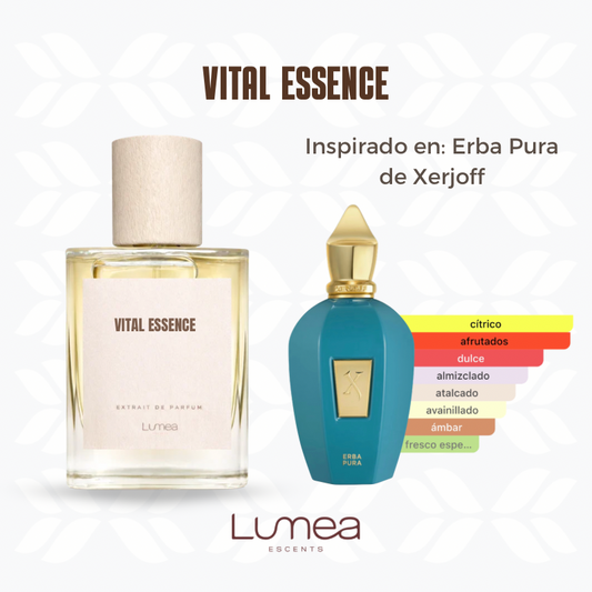 Vital Essence (inspirado en Erba Pura de Xerjoff)