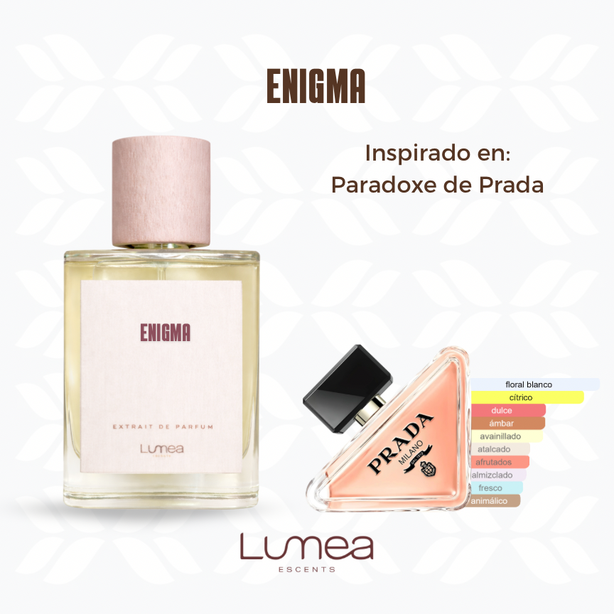 Enigma (Inspirado en: Paradoxe de Prada)