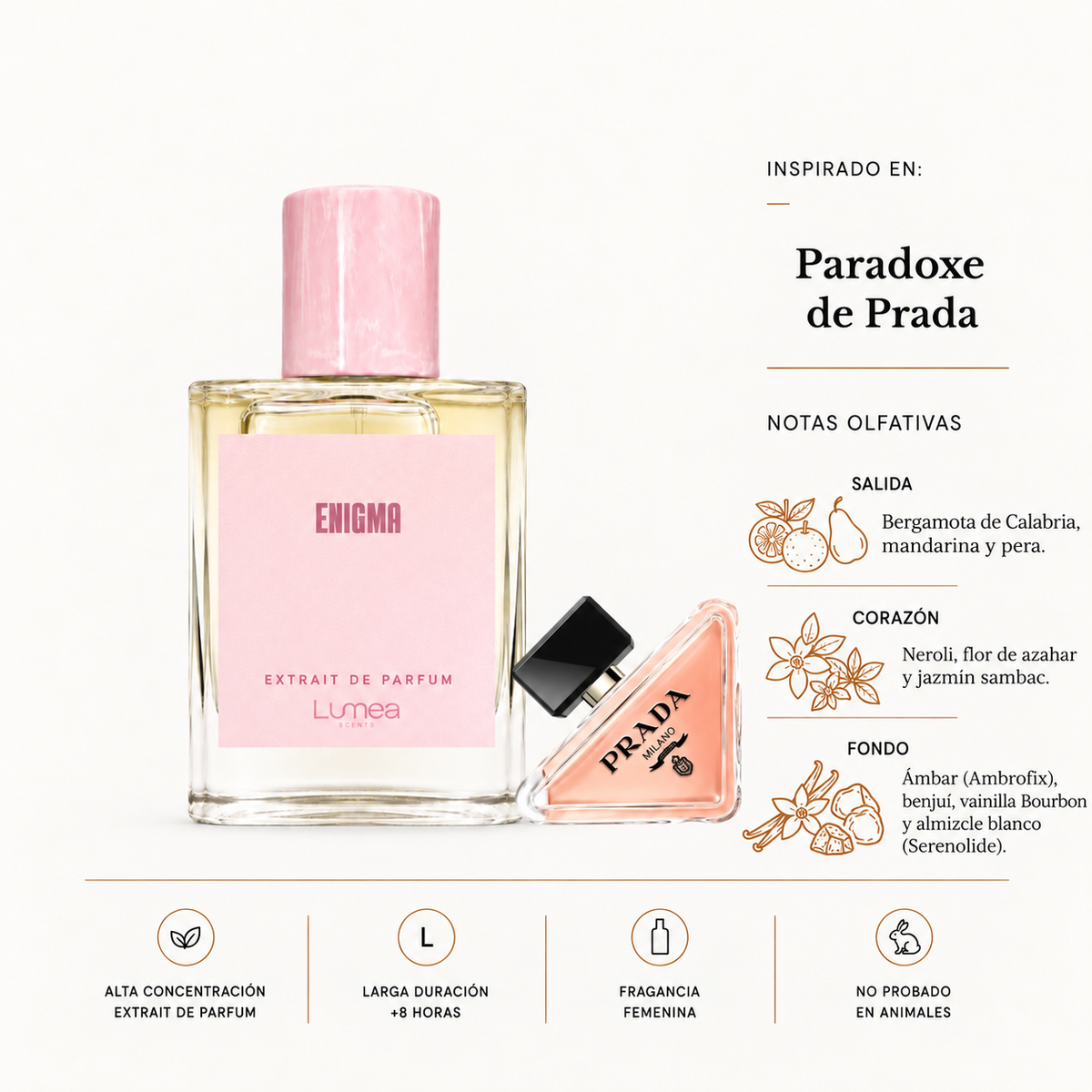 Enigma (Inspirado en: Paradoxe de Prada)
